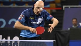 Daniel Habesohn