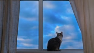 Vereinzelt können noch Regenschauer auftreten. Ansonsten bleibt die Nacht ruhig und trocken.