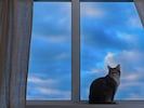 Die Wolken ziehen sich zurück, vielerorts klart der Himmel auf – in der Nacht können sich aber ...