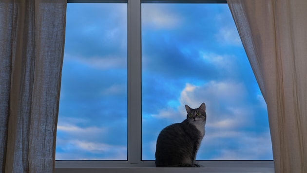 Vereinzelt können noch Regenschauer auftreten. Ansonsten bleibt die Nacht ruhig und trocken.