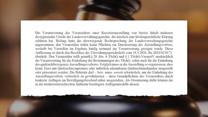 In dem der „Krone“ vorliegenden Gutachten wird deutlich, dass laut einem Beschluss des ...