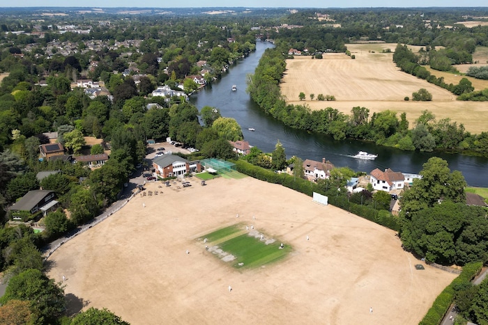 Kleine grüne Flecken erinnern an eine Spielfeld.