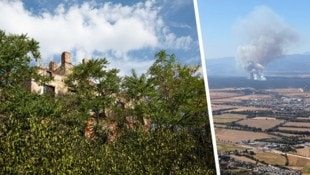 Die Suche nach weiterer Munition, die nach wie vor im Föhrenwald schlummert, wäre sehr ...
