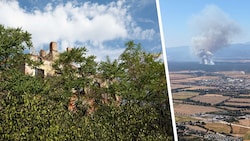 Die Suche nach weiterer Munition, die nach wie vor im Föhrenwald schlummert, wäre sehr ...
