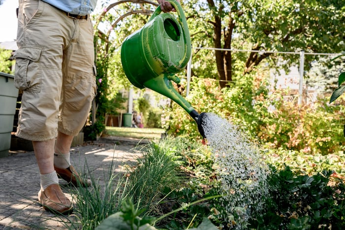 Beim Garten bewässern muss in allen Gemeinden gespart werden.