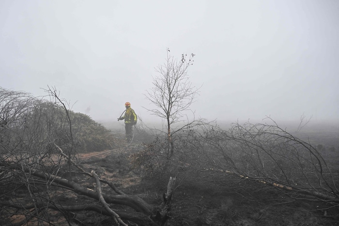 Einsatzkräfte der Feuerwehr rechnen damit, dass die Löscharbeiten noch einige Tage andauern ...