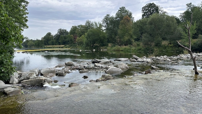 Fluss im Umwelt-Fokus: „Respect Mother Traisen“ bittet Veranstalter