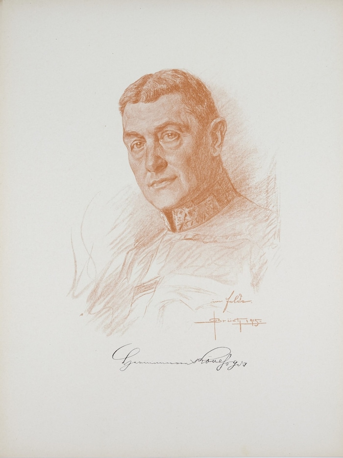 Baron Hermann Kövess von Kövessháza wurde am 2. November 1918 zum neuen Armeekommandanten ...
