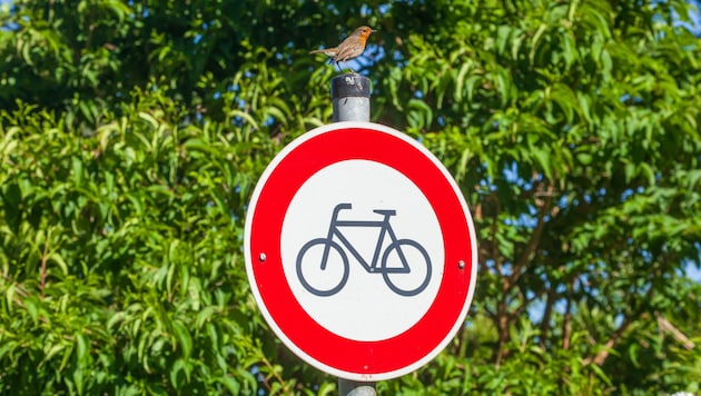 Der Bürgermeister macht auch keinen Hehl daraus, dass sein Unfall für die Entscheidung ...