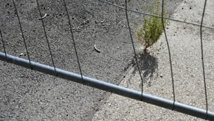 Wo früher Grün war, ist heute Beton: Nur mühsam findet die Natur noch einen Weg.