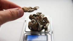 Die Wirkung von Psilocybin in „Magic Mushrooms“ wurde nun mittels Hirnscans untersucht. 