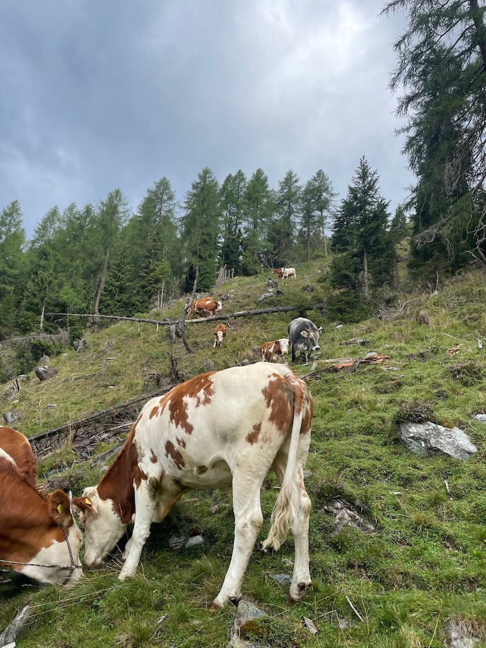 Auch auf die Alm durfte die 22-Jährige