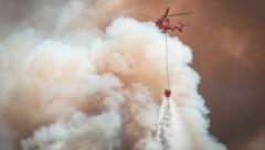 Die Spezialhubschrauber der Heli Austria bekämpfen weltweit Waldbrände – in Tirol werden die ...