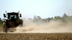 Die anhaltende Trockenheit, Hitze und Dürre setzen der Landwirtschaft in Österreich weiter zu