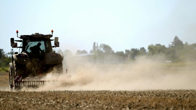 Die anhaltende Trockenheit, Hitze und Dürre setzen der Landwirtschaft in Österreich weiter zu