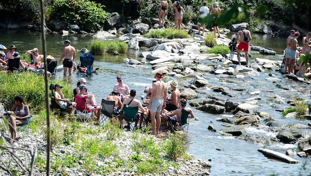 Der niedrige Wasserstand in der Traisen sorgt für Bitten um Rücksicht.