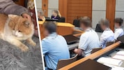 Vier Männer saßen Anfang August in Innsbruck vor Gericht.