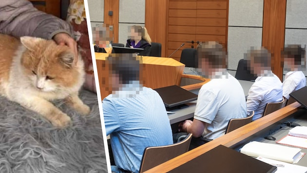 Vier Männer saßen Anfang August in Innsbruck vor Gericht.