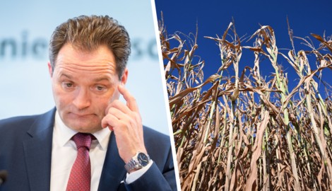 Landwirtschaftsminister Norbert Totschnig steht seit Wochen im Kreuzfeuer der Kritik.