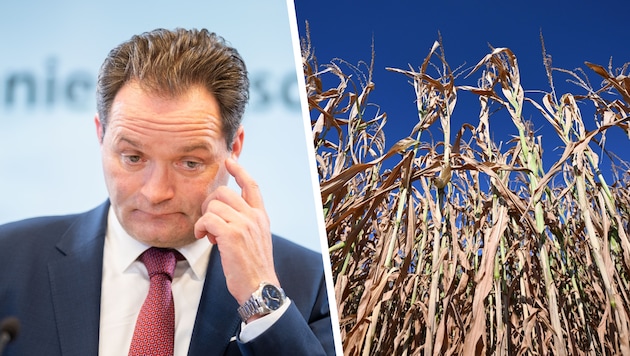 Landwirtschaftsminister Norbert Totschnig steht seit Wochen im Kreuzfeuer der Kritik.