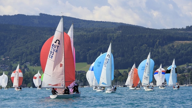 25 Boote starten ab heute bei der legendären Soling Trophy.