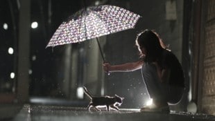 Heute Abend ziehen noch Gewitter und Regenschauer auf, danach beruhigt sich das Wetter. ...