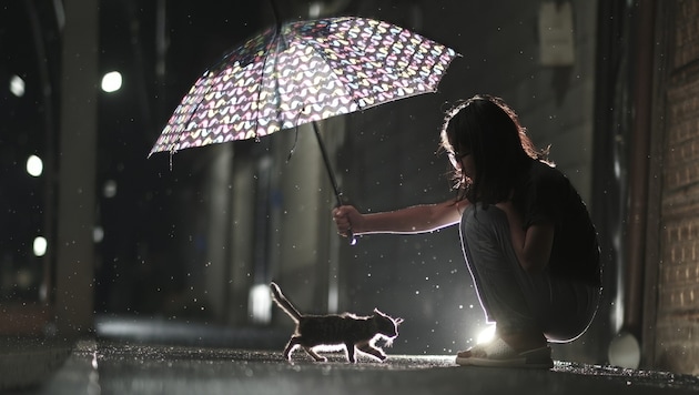 Heute Abend ziehen noch Gewitter und Regenschauer auf, danach beruhigt sich das Wetter. ...