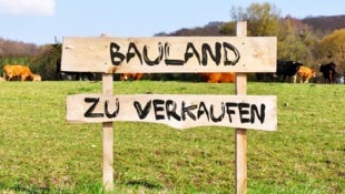 Die geplante Umwidmung von rund 3000 Quadratmetern Grünland sorgt in Riedlingsdorf für ...