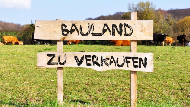 Die geplante Umwidmung von rund 3000 Quadratmetern Grünland sorgt in Riedlingsdorf für ...