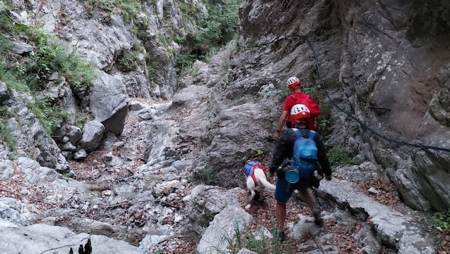 Diesen Vierbeiner seilten die Bergretter in der Kranebitter Klamm ab. Er steckte dort mit seinem ...