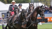 Für Alexander Bösch geht in Aachen ein Kindheitstraum in Erfüllung.