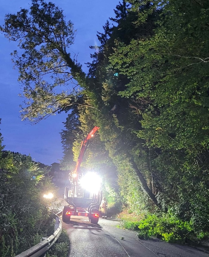 Der Baum drohte auf die Straße zu stürzen. Ein Landwirt half beim Entfernen.