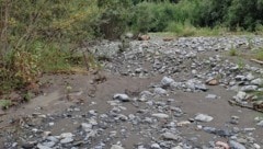Das war einmal ein Fluss: komplett ausgetrockneter Seitenarm der Alfenz.