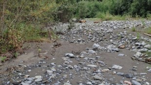 Das war einmal ein Fluss: komplett ausgetrockneter Seitenarm der Alfenz.