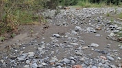 Das war einmal ein Fluss: komplett ausgetrockneter Seitenarm der Alfenz.