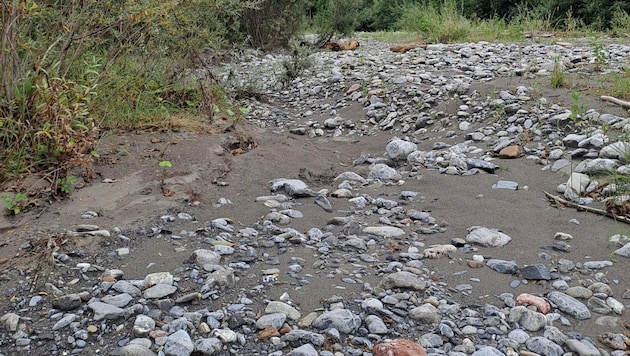 Das war einmal ein Fluss: komplett ausgetrockneter Seitenarm der Alfenz.