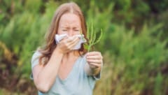 Ragweed kann Heuschnupfen, Bindehautentzündungen und chronisches Asthma auslösen.
