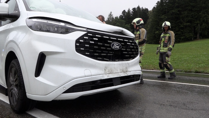 Das beteiligte Unfallfahrzeug.