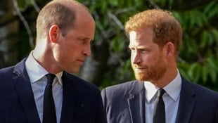Prinz William soll nach den Umzugs-News der Sussexes bereits klargestellt haben, dass es für ...