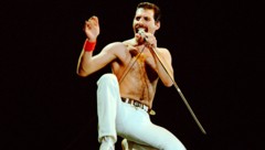 Freddie Mercury in seinem natürlichen Habitat – exaltiert und voller Feuereifer auf einer ...