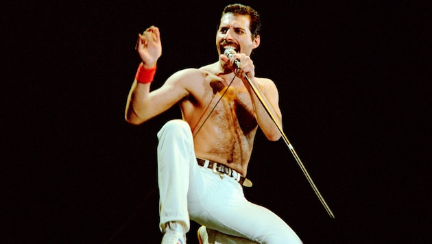 Freddie Mercury in seinem natürlichen Habitat – exaltiert und voller Feuereifer auf einer ...