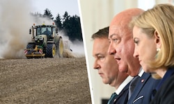Endlich: Die Regierung bringt die lang diskutierten Dürre-Hilfen auf den Weg.