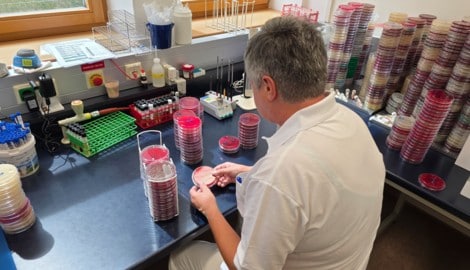 In der Linzer Uniklinik werden Schnelltests auf Legionellen ausgewertet.