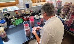 In der Linzer Uniklinik werden Schnelltests auf Legionellen ausgewertet.