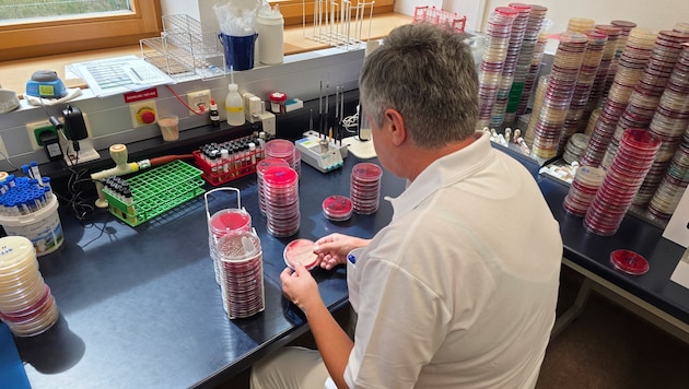 In der Linzer Uniklinik werden Schnelltests auf Legionellen ausgewertet.