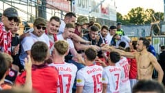 Die 30 Fans von Red Bull Salzburg bereuten ihre Reise nach Schweden nicht. 