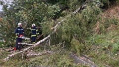 Die Feuerwehren mussten wie hier bei Mattighofen zahlreiche umgestürzte Bäume entfernen