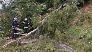 Die Feuerwehren mussten wie hier bei Mattighofen zahlreiche umgestürzte Bäume entfernen