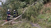 Die Feuerwehren mussten wie hier bei Mattighofen zahlreiche umgestürzte Bäume entfernen