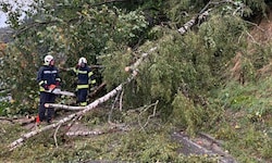 Die Feuerwehren mussten wie hier bei Mattighofen zahlreiche umgestürzte Bäume entfernen